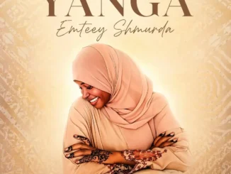 Emteey Shmurda – Yanga Mp3 Download