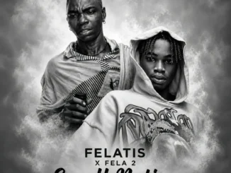 Felatis, Fela 2 – Small Nation Mp3 Download