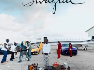 Seyi Vibez – Swaguu Mp3 Download