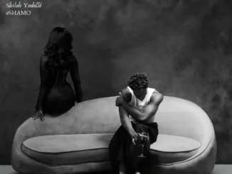 Shiloh Yodellé & oSHAMO – Stars Misaligned ll (Remix) Ft Abefe Mp3 Download