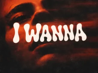Akhmedov – I WANNA (Super Slowed) Ft. FEXTINGUISHER Mp3 Download