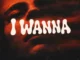 Akhmedov – I WANNA (Super Slowed) Ft. FEXTINGUISHER Mp3 Download