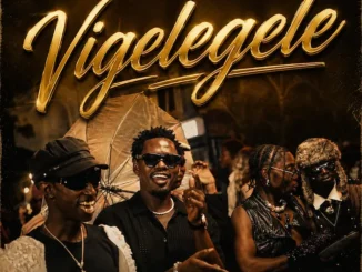 Ben Pol – Vigelegel Mp3 Download