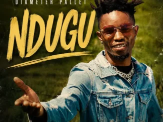 Diameter Pallet – Ndugu Mp3 Download