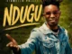 Diameter Pallet – Ndugu Mp3 Download