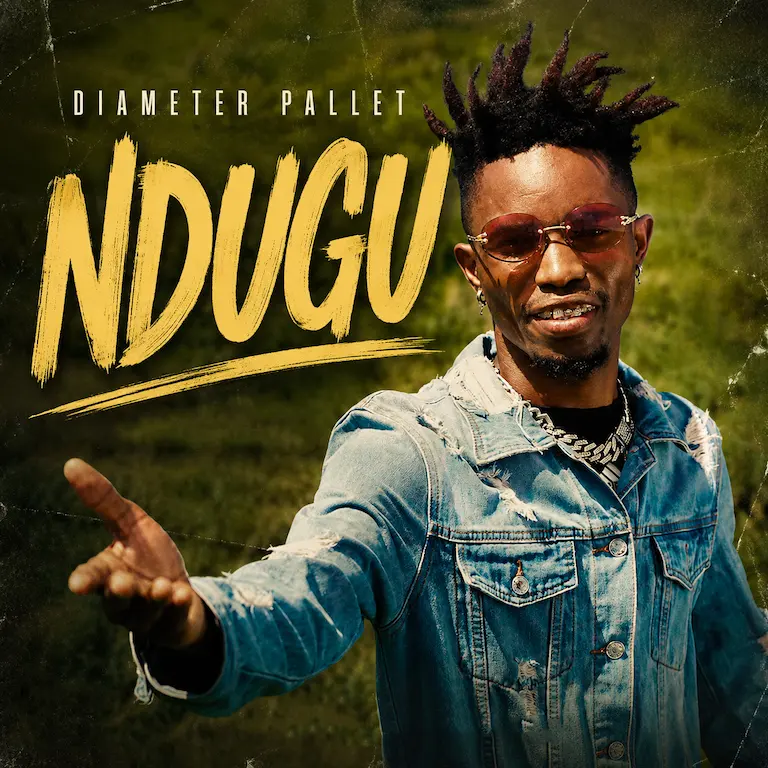 Diameter Pallet – Ndugu Mp3 Download