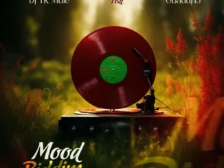 Dj Yk Mule feat. Obaddj45 - Mood Riddim Mp3 Download