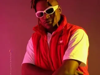 Arewa vocal music – Munafuka Mp3 Download
