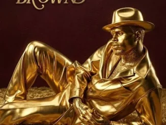 Chris Brown – Perfect Timing ft. Fridayy Mp3 Download