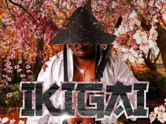 Tman Xpress – Midnight In Diepkloof Zone 2 Album Mp3 Download