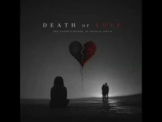 The Silent Partner – Death of Love Mp3 Download