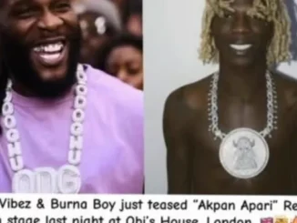 Seyi Vibez & Burna Boy – Akpan Apari Mp3 Download