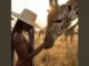 Lynda – Petite chose (Live Session) Mp3 Download