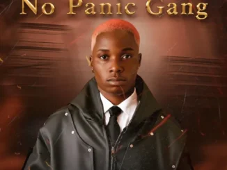 TMIZZY MRHORRIZ Ft. No Panic Gang – N. P. G Mp3 Download