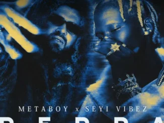 MetaBoy Ft. Seyi Vibez – Peppa Mp3 Download