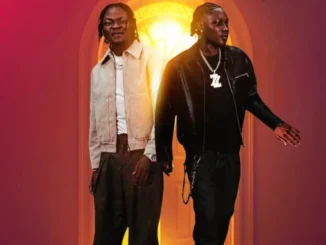 Mistikay ft. Zinoleesky – Bundle Bundle (Remix) Download Mp3