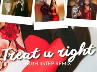 DJ Kush Ft. Fola Ft. Ayra Starr – Treat u right [KU3H 3step Remix] Download Mp3