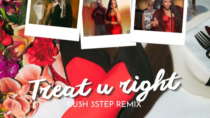 DJ Kush Ft. Fola Ft. Ayra Starr – Treat u right [KU3H 3step Remix] Download Mp3