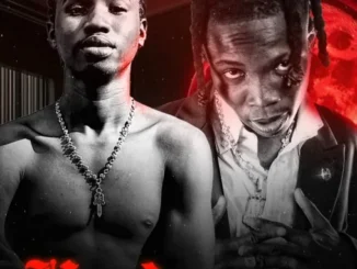Pcee Ft. Benzoo & Zlatan – Ngoku Mp3 Download
