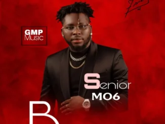 Senior Mo6 Ft. Portable – Pangolo Download Mp3