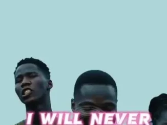 Neshnellie – I will never beg i will never cry again Download Mp3