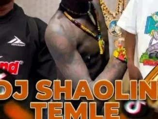 DJ SHAOLIN TEMPLE FT FELA 2 FLOATING IKE CRUISE BEAT Download Mp3
