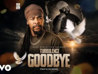 Turbulence – Goodbye Download Mp3